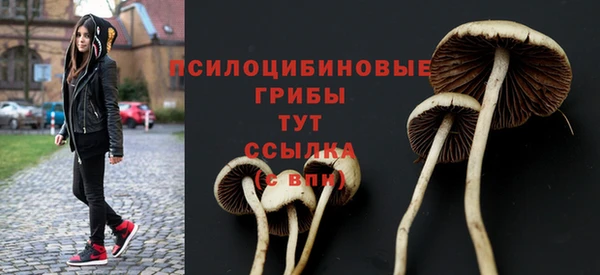 apvp Алексеевка