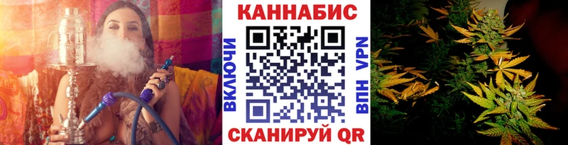 Бошки марихуана индика  наркота  Змеиногорск 